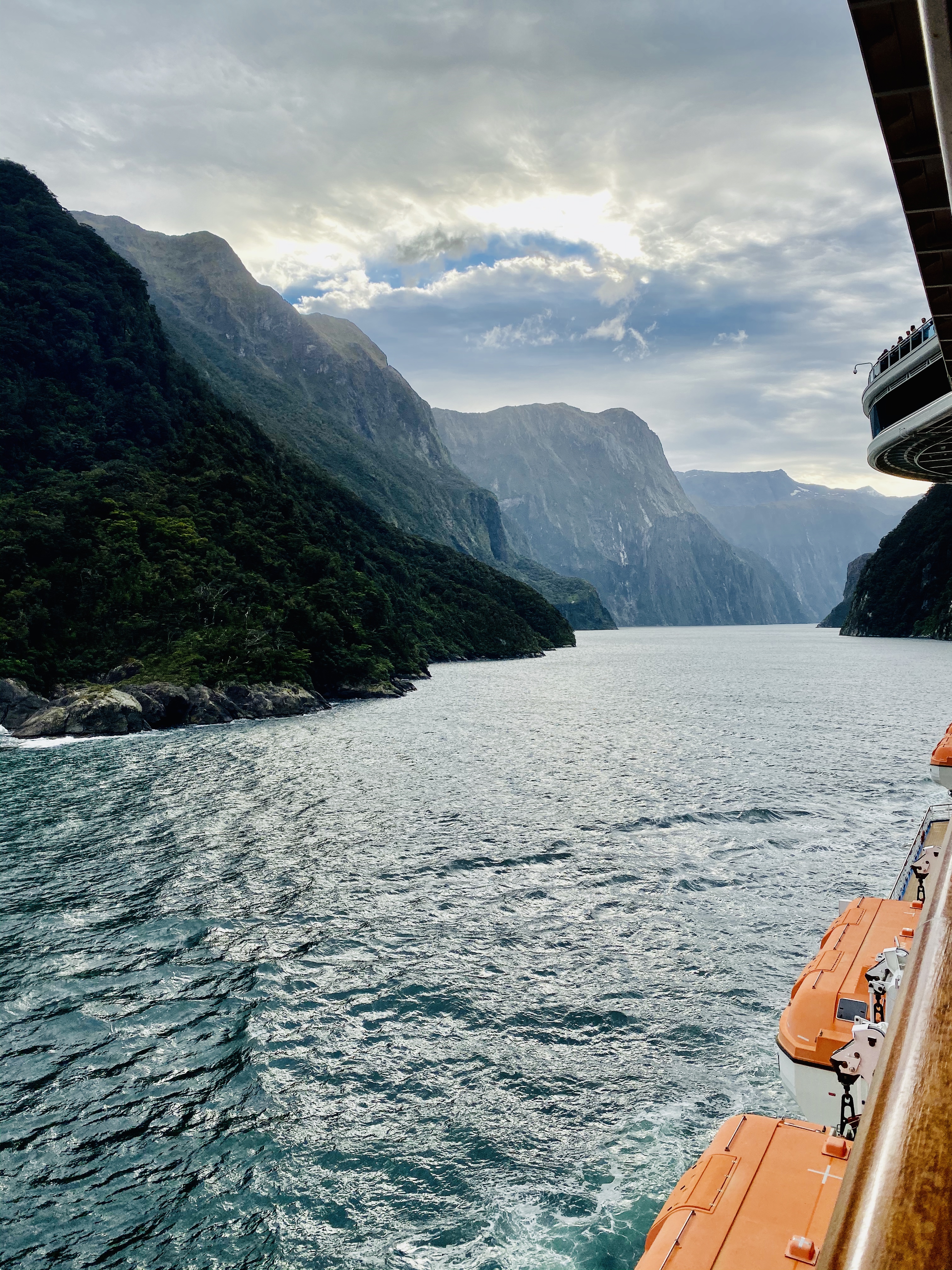 New Zealand Fjords - Giddy Guest