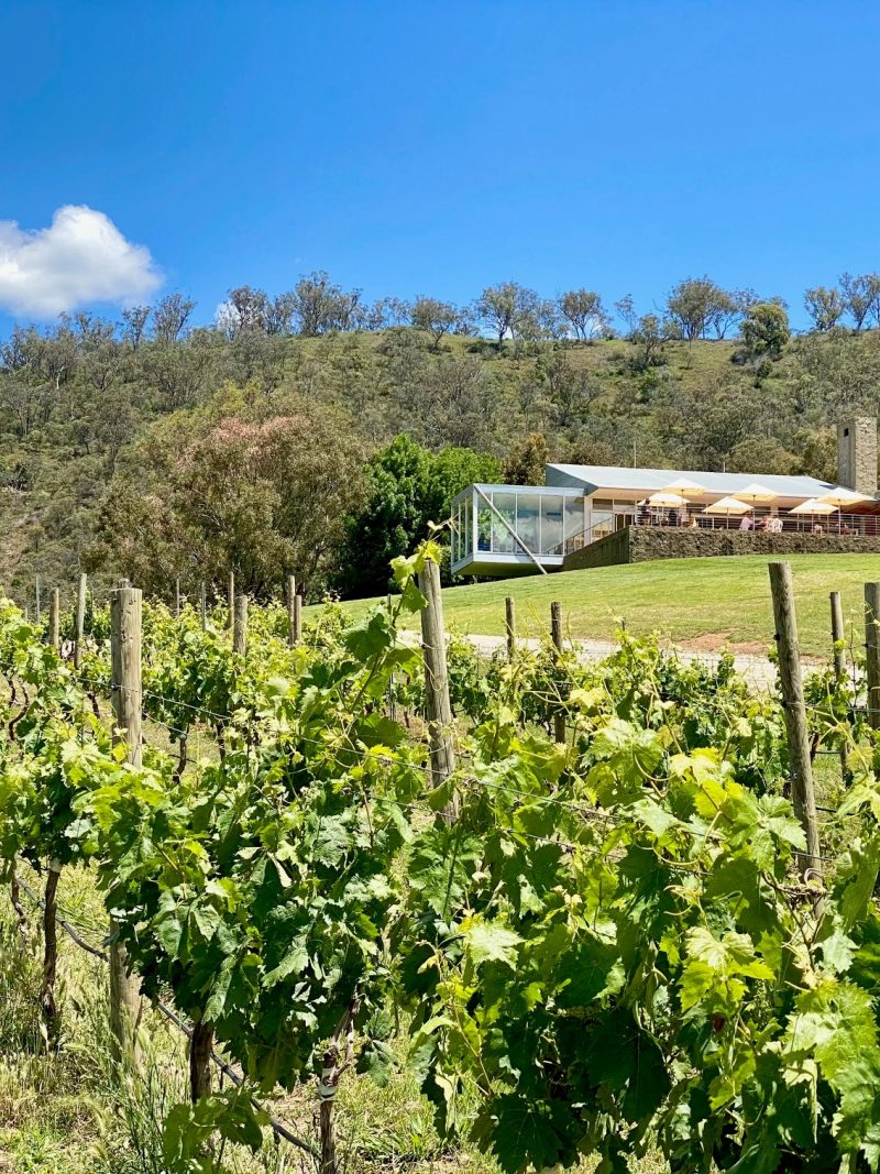 Visit The Best Wineries And Cellar Doors In Mudgee Giddy Guest 7630